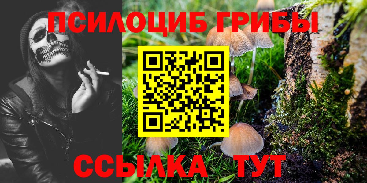 Псилоцибиновые грибы GOLDEN TEACHER Грязи